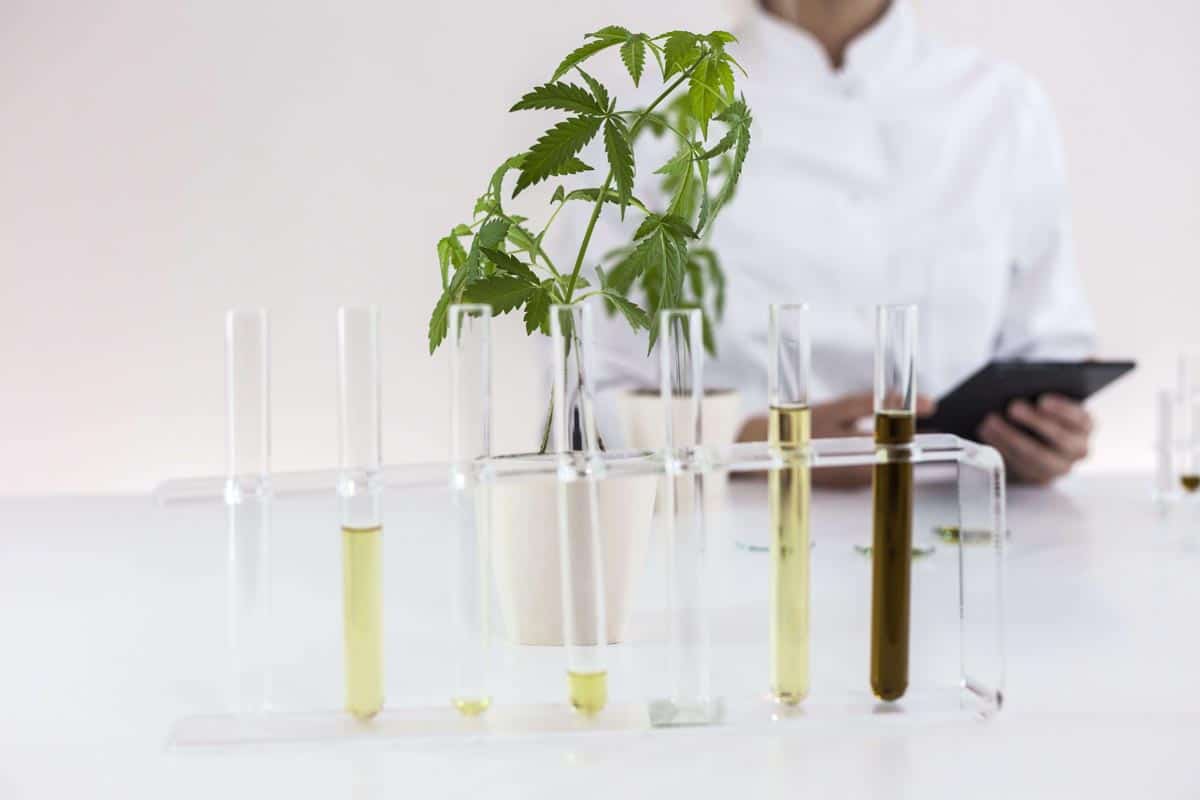 CBD Supply Chain Challenges