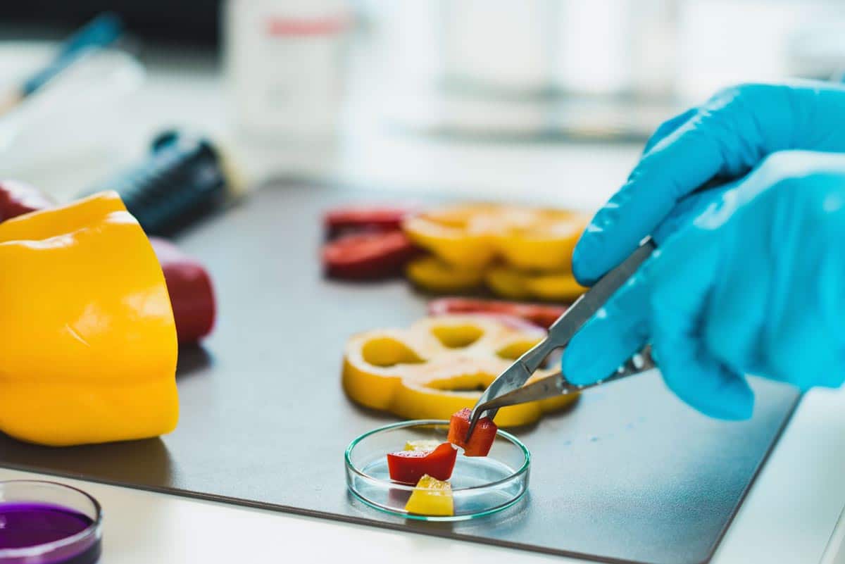 A Day in the Life of a Food Quality Professional