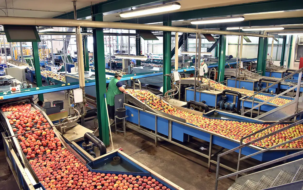 Best Practices for Food Ingredient Supply Chain Management