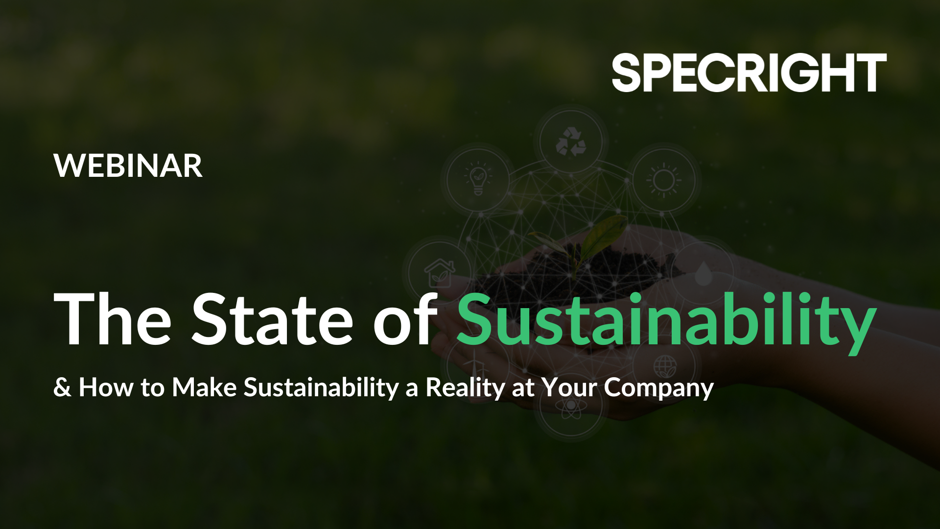 The State of Sustainability