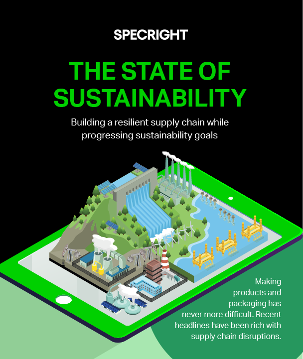 The 2022 State of Sustainability Infographic