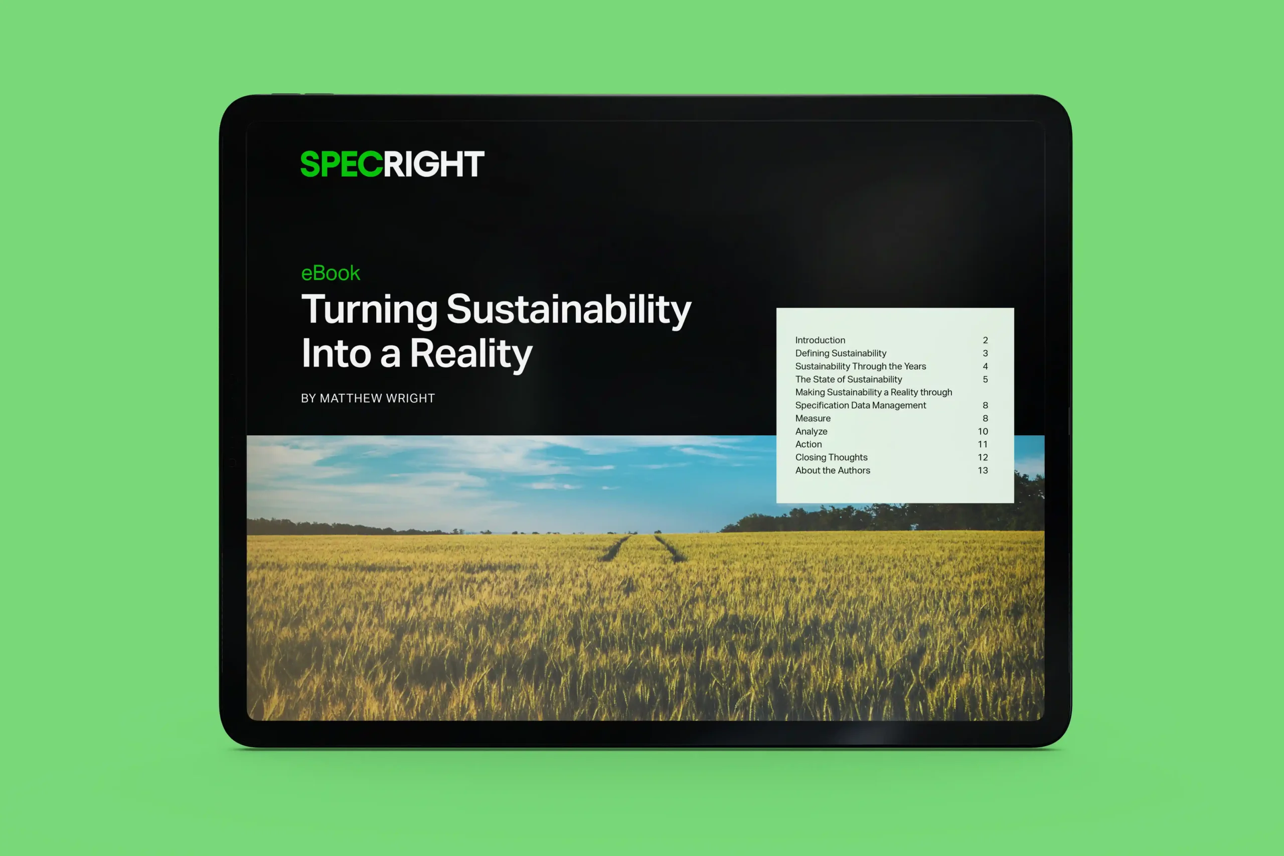 Turning Sustainability Into a Reality eBook