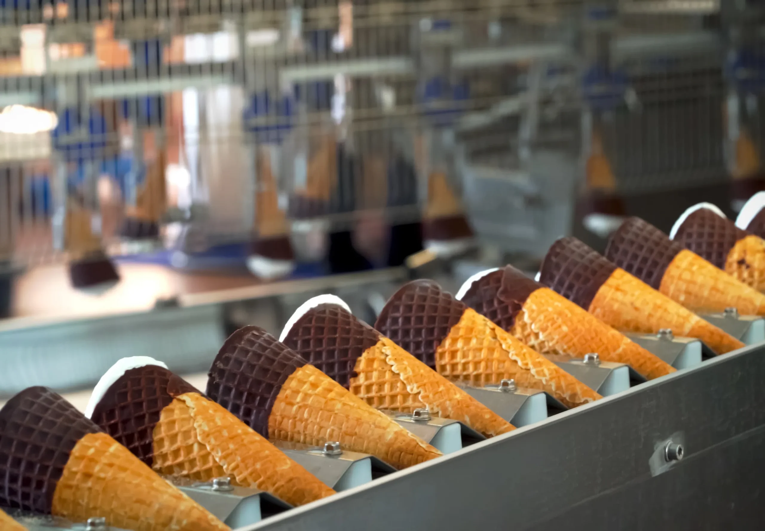 food products in the development process
