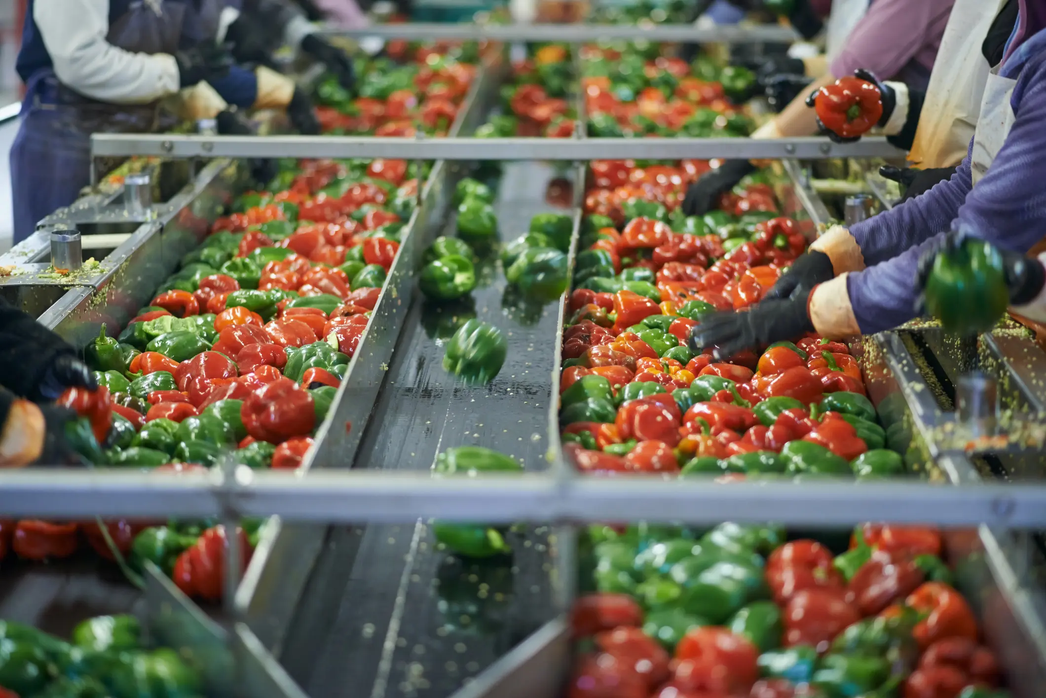 Enhancing Transparency in the Food Supply Chain