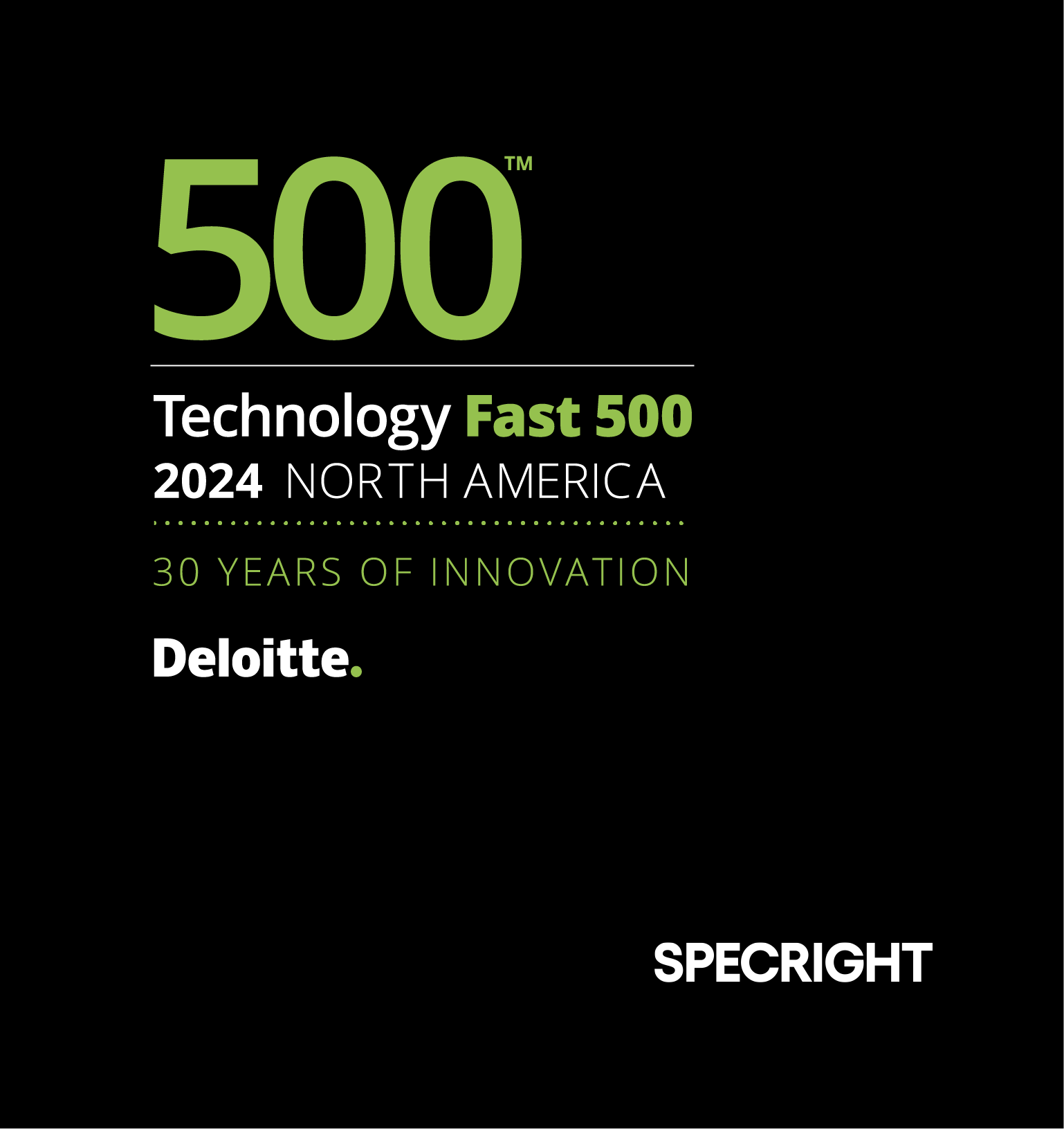 Deloitte Fast 500