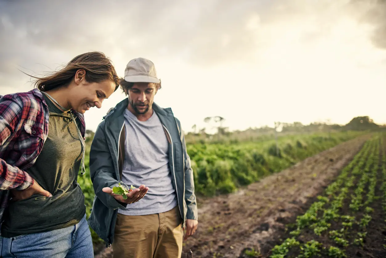Sustainable Sourcing Practices in the Modern Food and Beverage Industry